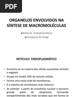 Aula 5 Organelos Envolvidos Sintese de Macromoleculasx