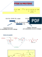 Peptide Si Proteine2014