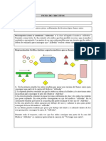 Ficha Circuito 2 Años