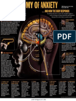 Anatomy of Anxiety