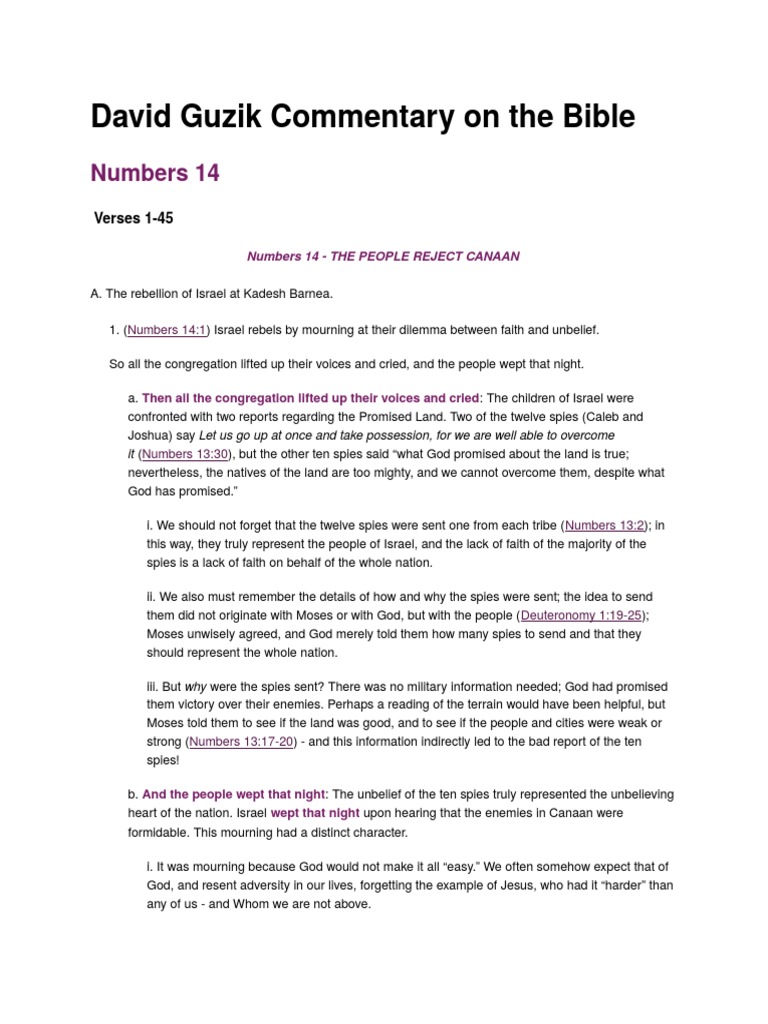 Numbers Chapter 14 PDF Book Of Numbers Aaron