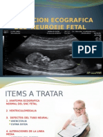 Curso US en GO Lec 12 NeurosonografÃ-A Fetal