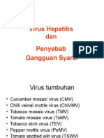 Virology-Virus+Hepatitis&Syaraf
