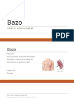 Bazo (Semiología y Propedeutica)