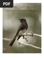 Download Digital Photography - Acquisition And Processing Techniques By Ron Reznick by Mado SN263274 doc pdf