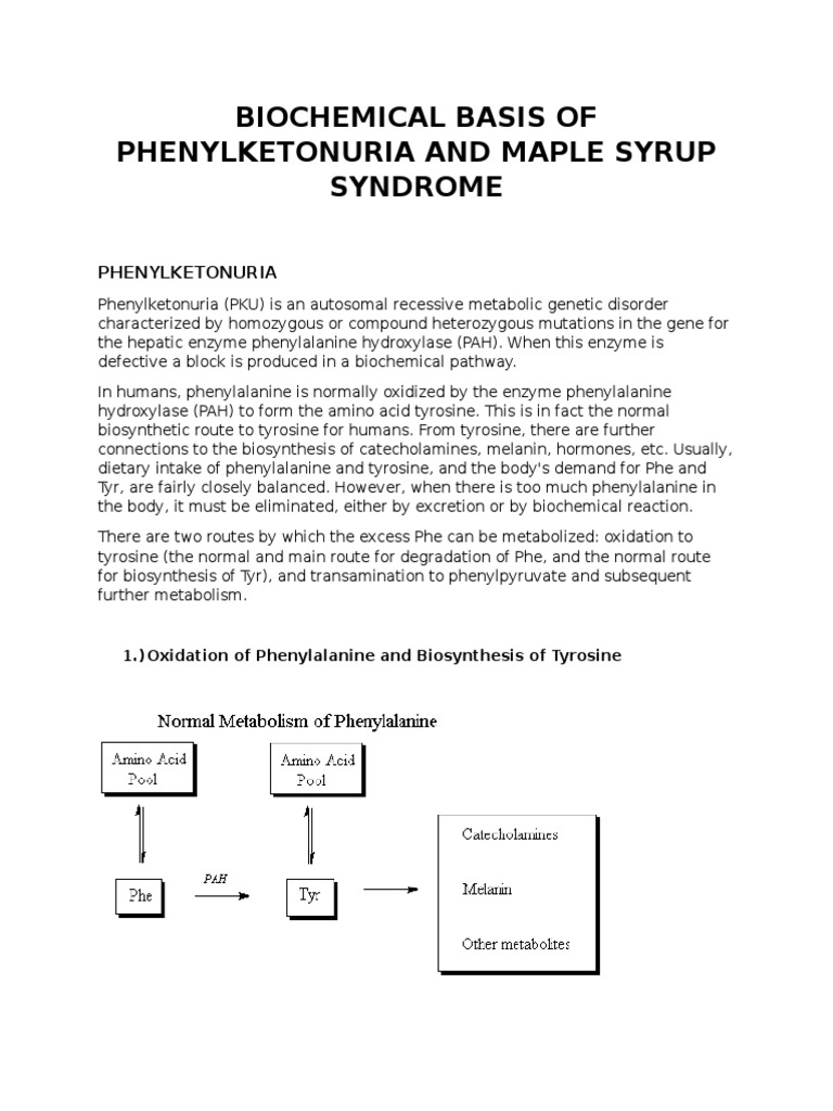 Biochemical Basis of Phenylketonuria and Maple Syrup Syndrome PDF