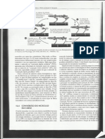 CARNES - Xerox Do Livro Química de Alimentos de Fennema- Página 1