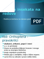 Podela Insekata Na Redove2