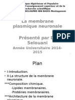 02-La Membrane Plasmique Neuronale