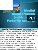 Mediul Mediteranean