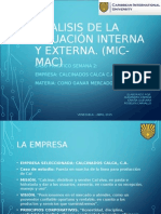 Análisis de La Situación Interna y Externa Calcinados Calca, c.a.