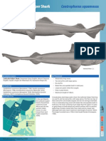 Leafscale Gulper Shark ST Factsheet