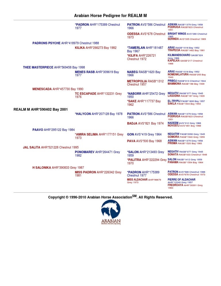 Arabian Horse Pedigree for REALM M Horses