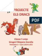Projecte Dracs I Dragons