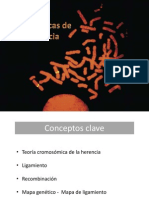 Bases Cromosómicas de La Herencia