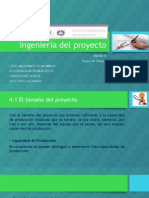 Ingenieria Del Proyecto