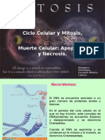 Ciclo Celular y Mitosis