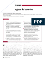 2013_taller_drogas_AMPap_cannabis_FMC.pdf
