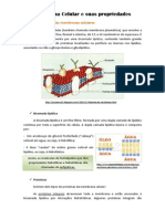 #Resumo#