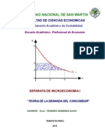 Teoría Demanda Consumidor