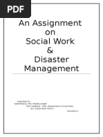 Social Work and Disaster Management