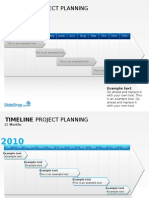 Timeline Project Planning: 12 Months