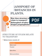 Transport of Substances in Plants