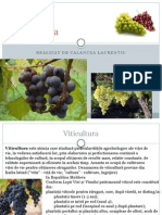 Viticultura