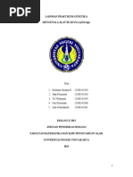 Download Mengenal Lalat Buah Drosophila sp by NurKhotimah SN263389854 doc pdf