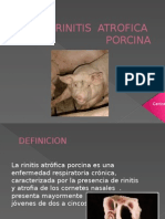 Rinitis Atrofica Porcina