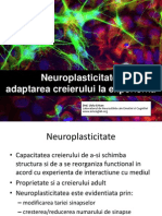 Seminar 2 Neuroplasticitate