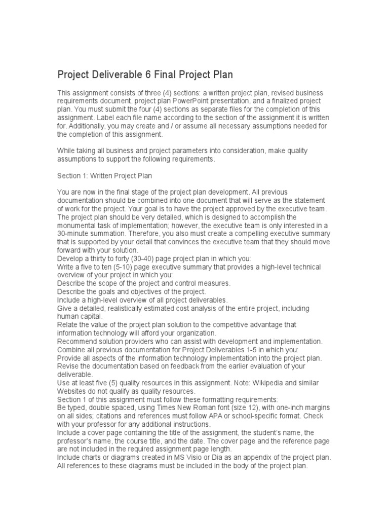Final Project Plan for IT Implementation | PDF | Business