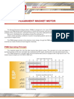 Permanent Magnet Motor