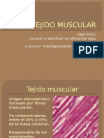 tejido muscular.pptx