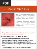 Download Nyamuk Anopheles by Wuri Handayani Eldi SN263406264 doc pdf