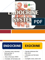 Endocrine System