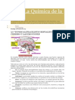 La Quimica de Las Emociones