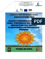 Studiu de zona II  GAL Orizonturi 2012.pdf