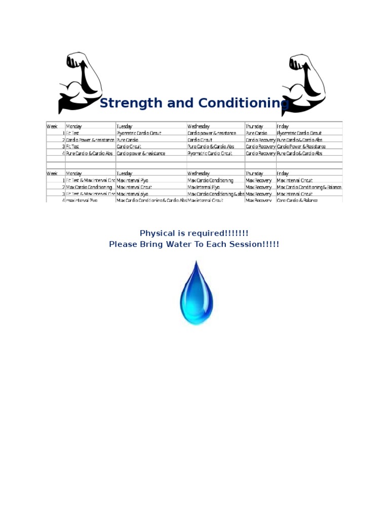 Strength & Conditioning Guide | PDF