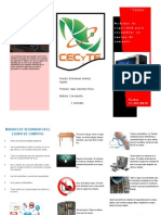 TRIPTICO.pdf