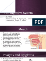 digestion system