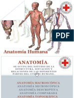 Anatomia y Fisiologia Humana 2015