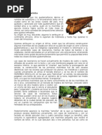 Historia de La Marimba y Tecun Human