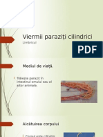 0_viermii_paraziti_cilindrici.pptx