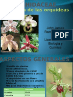 Familia Orchidaceae