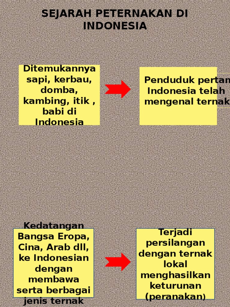 Sejarah Peternakan Di Indonesia Ppt