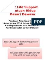 Presentasi Basic Life Support