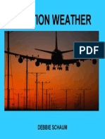 Aviation Weather: Debbie Schaum