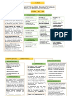 Mapa Conceptual