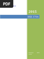 hse3704 eportfolio